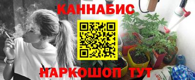 хмурый Новозыбков